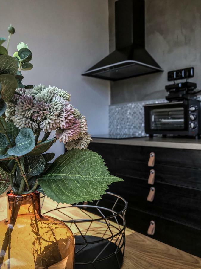 Stylový apartmán přímo u lanovky, vlastní garážové stání Janské Lázně Extérieur photo