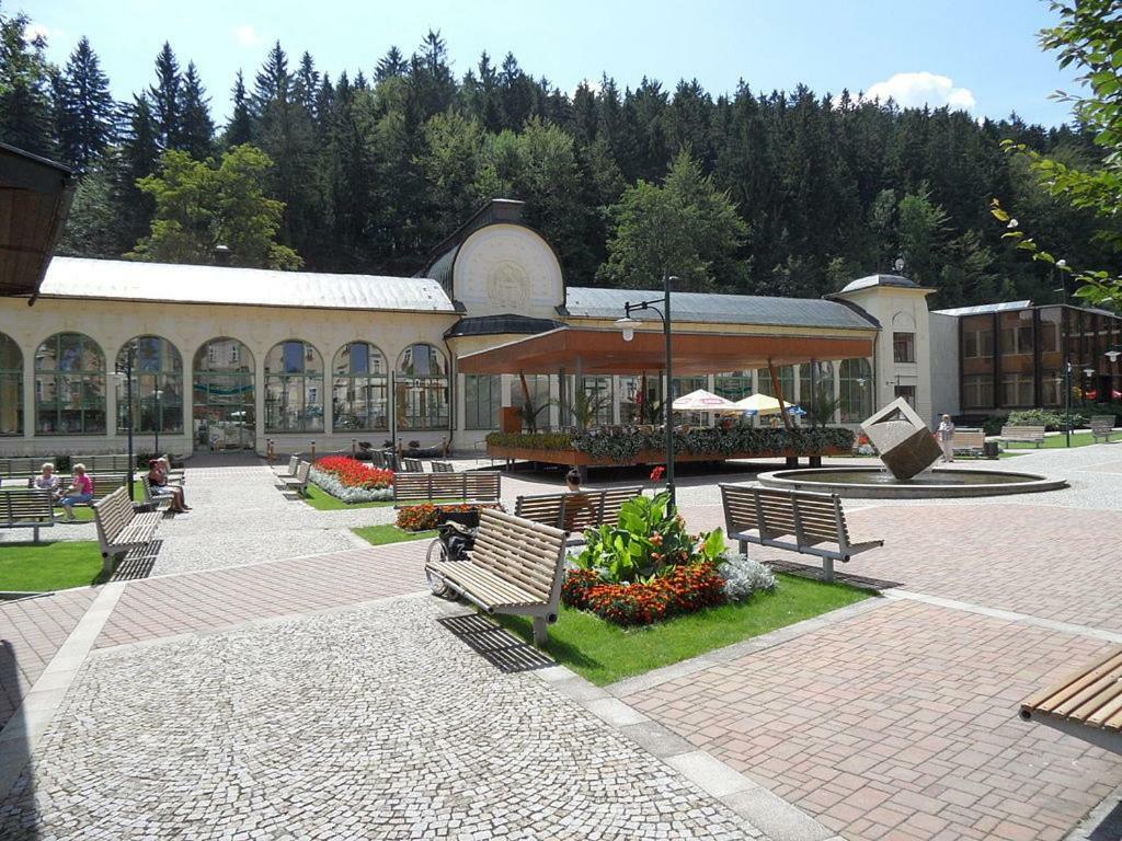 Stylový apartmán přímo u lanovky, vlastní garážové stání Janské Lázně Extérieur photo